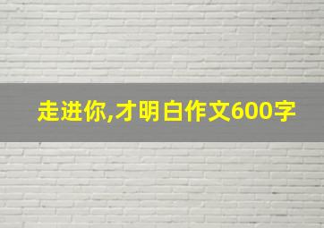 走进你,才明白作文600字