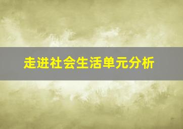 走进社会生活单元分析