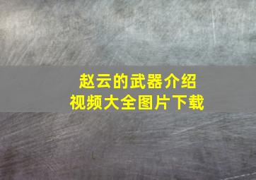 赵云的武器介绍视频大全图片下载