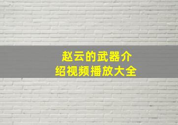 赵云的武器介绍视频播放大全