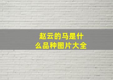 赵云的马是什么品种图片大全