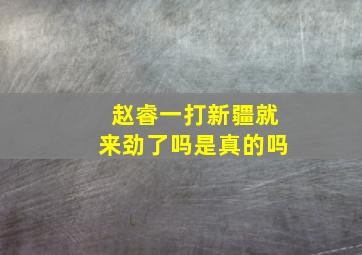 赵睿一打新疆就来劲了吗是真的吗