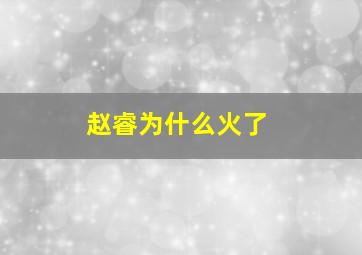 赵睿为什么火了