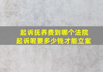 起诉抚养费到哪个法院起诉呢要多少钱才能立案