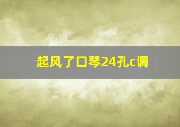 起风了口琴24孔c调