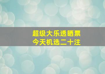 超级大乐透晒票今天机选二十注