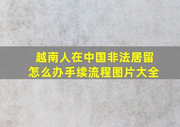 越南人在中国非法居留怎么办手续流程图片大全