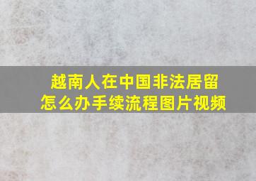 越南人在中国非法居留怎么办手续流程图片视频