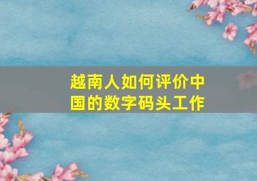 越南人如何评价中国的数字码头工作