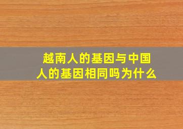 越南人的基因与中国人的基因相同吗为什么