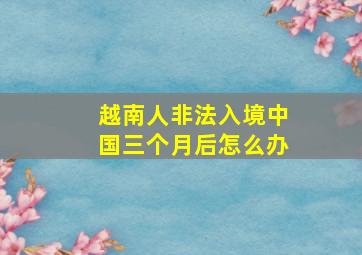 越南人非法入境中国三个月后怎么办