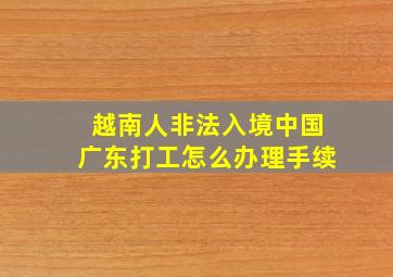 越南人非法入境中国广东打工怎么办理手续