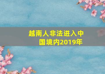 越南人非法进入中国境内2019年