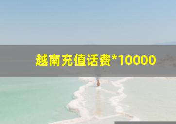 越南充值话费*10000