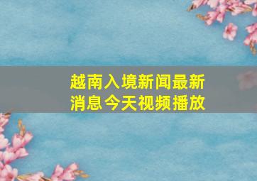 越南入境新闻最新消息今天视频播放