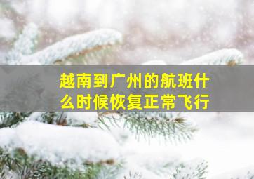 越南到广州的航班什么时候恢复正常飞行