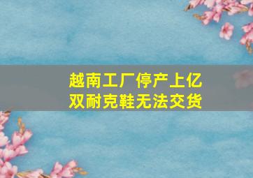 越南工厂停产上亿双耐克鞋无法交货