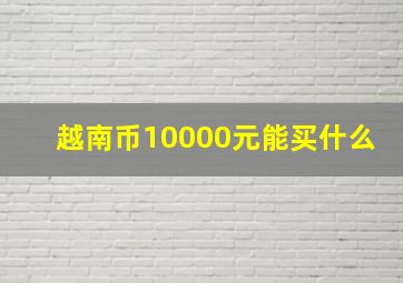 越南币10000元能买什么