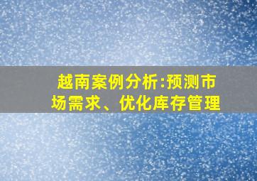 越南案例分析:预测市场需求、优化库存管理