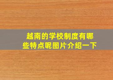 越南的学校制度有哪些特点呢图片介绍一下