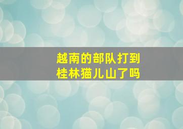 越南的部队打到桂林猫儿山了吗