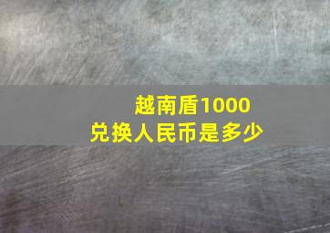 越南盾1000兑换人民币是多少