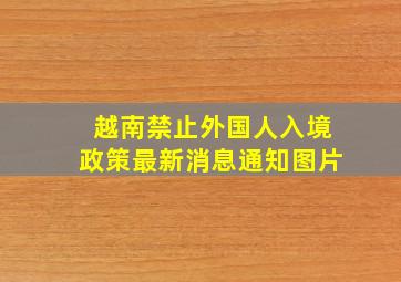 越南禁止外国人入境政策最新消息通知图片