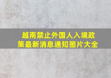 越南禁止外国人入境政策最新消息通知图片大全