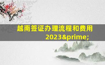 越南签证办理流程和费用2023′