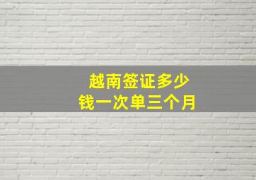 越南签证多少钱一次单三个月