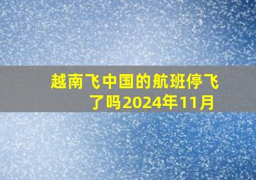 越南飞中国的航班停飞了吗2024年11月