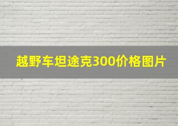 越野车坦途克300价格图片