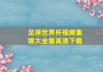 足球世界杯视频集锦大全集高清下载