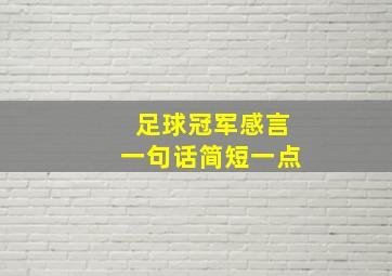 足球冠军感言一句话简短一点