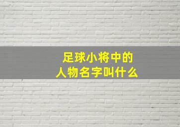 足球小将中的人物名字叫什么