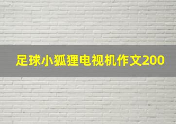 足球小狐狸电视机作文200