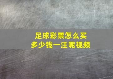 足球彩票怎么买多少钱一注呢视频