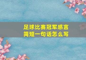 足球比赛冠军感言简短一句话怎么写