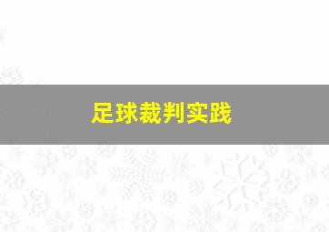 足球裁判实践