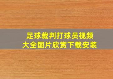 足球裁判打球员视频大全图片欣赏下载安装