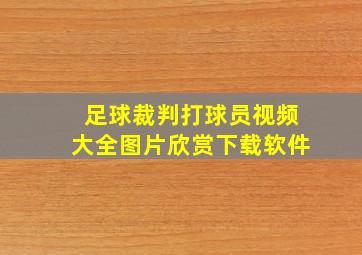 足球裁判打球员视频大全图片欣赏下载软件