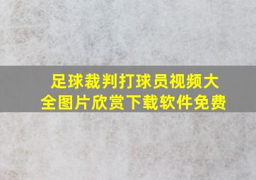 足球裁判打球员视频大全图片欣赏下载软件免费