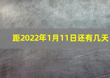 距2022年1月11日还有几天