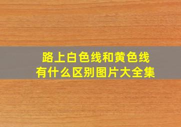 路上白色线和黄色线有什么区别图片大全集