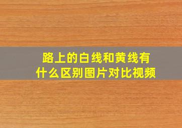 路上的白线和黄线有什么区别图片对比视频