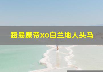 路易康帝xo白兰地人头马