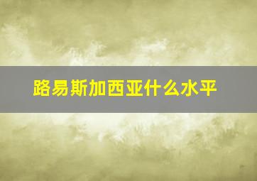 路易斯加西亚什么水平