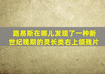 路易斯在哪儿发现了一种新世纪晚期的灵长类右上颌残片