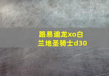 路易迪龙xo白兰地圣骑士d30