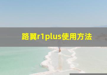 路翼r1plus使用方法